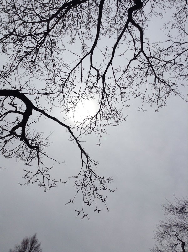 image002